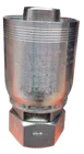 HEMBRA BRITANICA, NARIZ DE BOLA (FBSPORX)